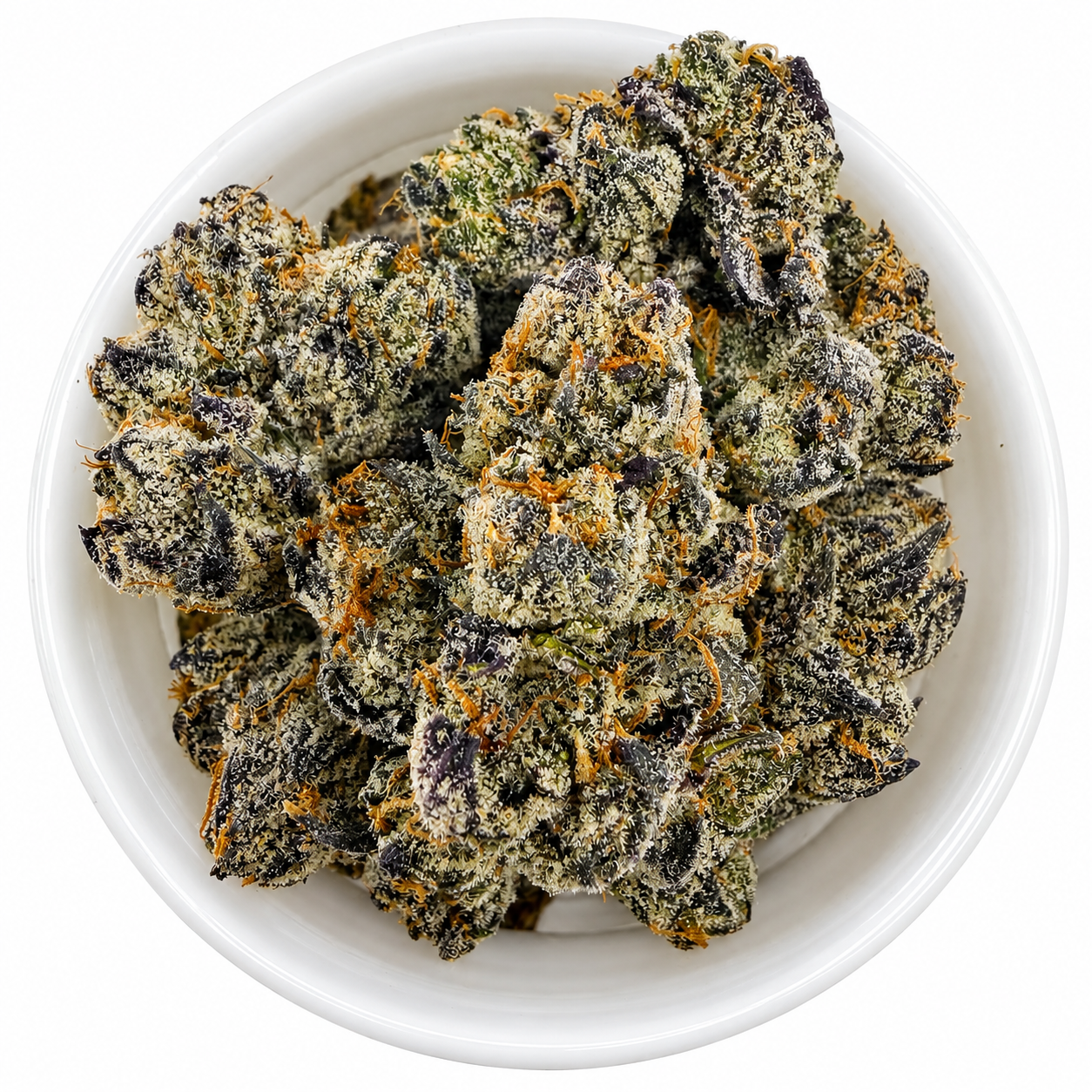 Cherry Cherry Lady -14G